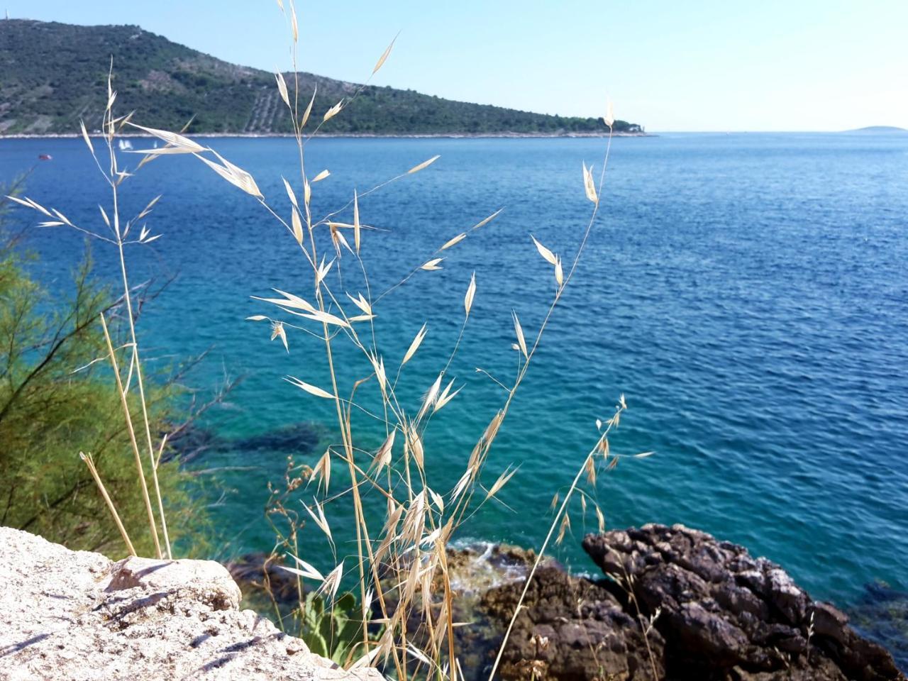 Adiomare Primošten